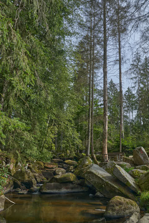 Gemeinde Waldkirchen Landkreis Freyung-Grafenau Saußbachklamm (Dirschl Johann) Deutschland FRG